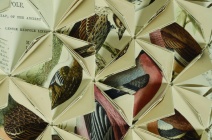 Between Folds / British Birds
