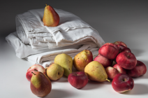Pears, Nectarines 2019_Peter Abrahams