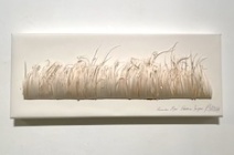 Rachel Shaw Ashton "Remember Now: Posidonia Sea Grass"