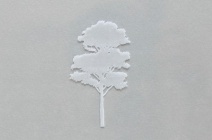 Rachel Wickremer | ‘Ash’ (Tree series) | £ 300