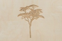 Rachel Wickremer | ‘Cedar’ (Tree series) | £ 300